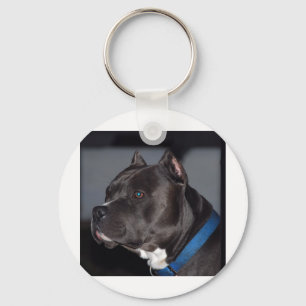 Pitbull Nyckelring