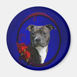 Pitbull och blodiga ro magnet