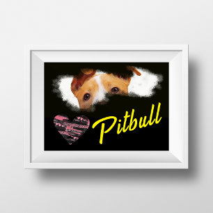 Pitbull Öga Solid Färg Poster