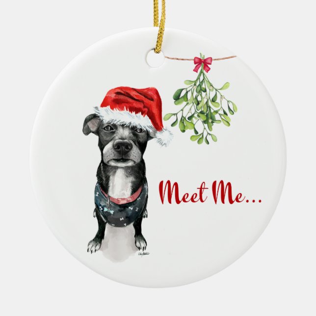 Pitbull Ornament - Möt mig under maltesen (Framsidan)