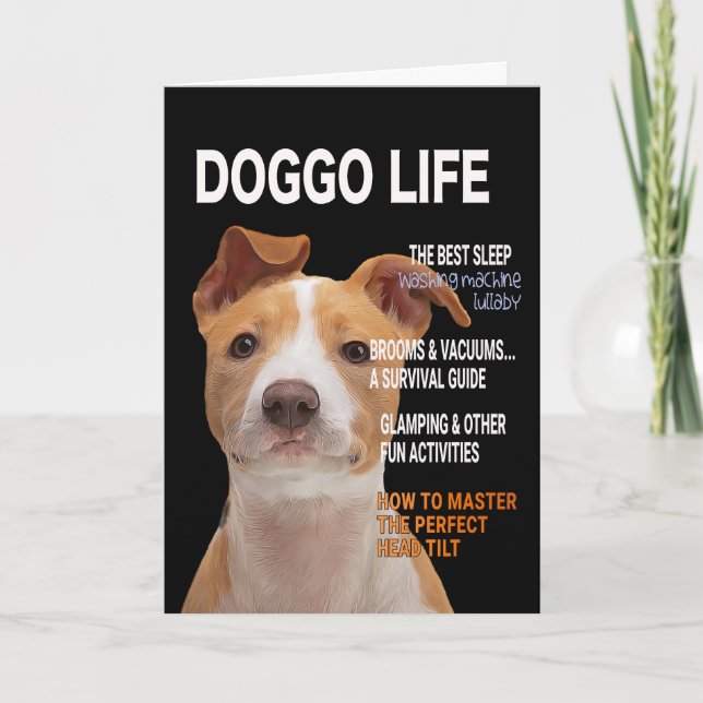 Pitbull Parody Magazine Cover Card Kort (Framsida)