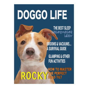 Pitbull Parody Magazine Cover Fototryck