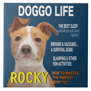 Pitbull Parody Magazine Cover Kakelplatta