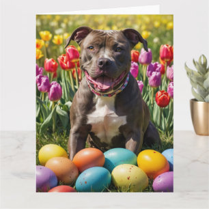 Pitbull påskägg kort