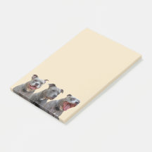 Pitbull Personality - anteckningar