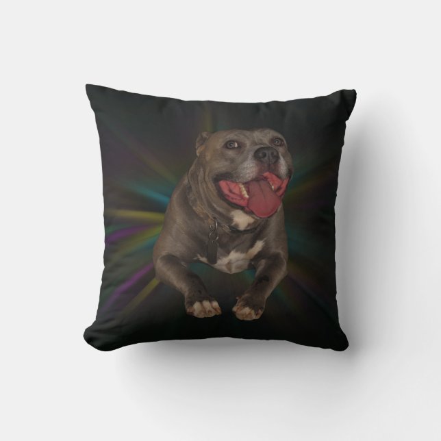 Pitbull Pillow Kudde (Framsida)