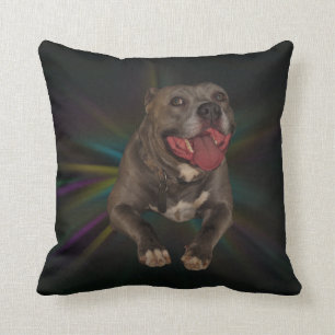 Pitbull Pillow Kudde