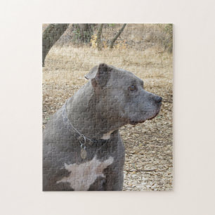 Pitbull Pitbull Puzzel Pussel