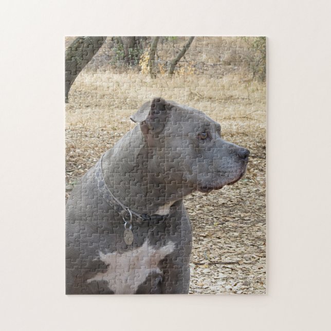 Pitbull Pitbull Puzzel Pussel (Vertikal)