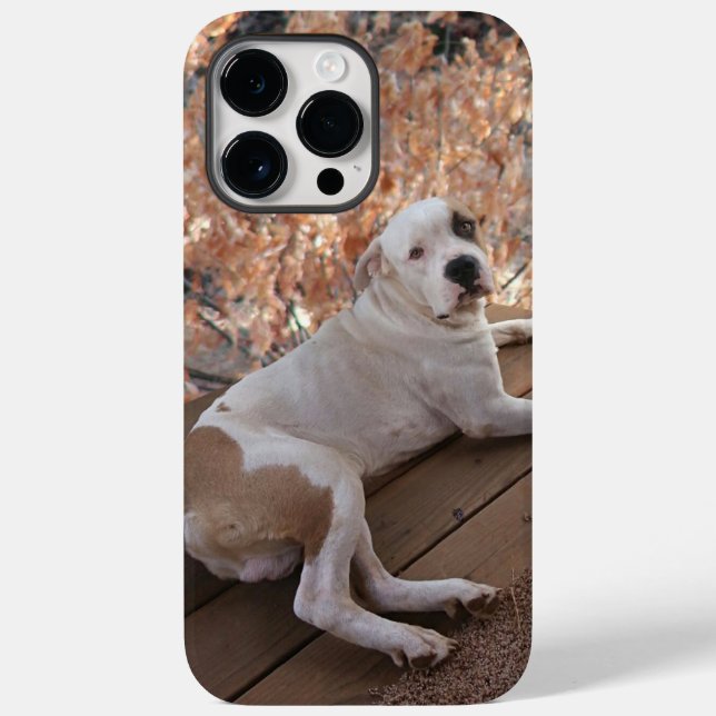 Pitbull Porch Hund iphone case (Baksida)