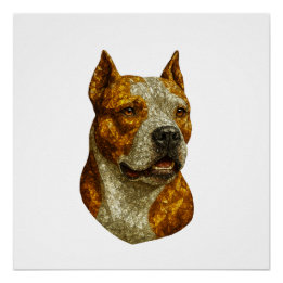 Pitbull Porträtt Perfect Poster