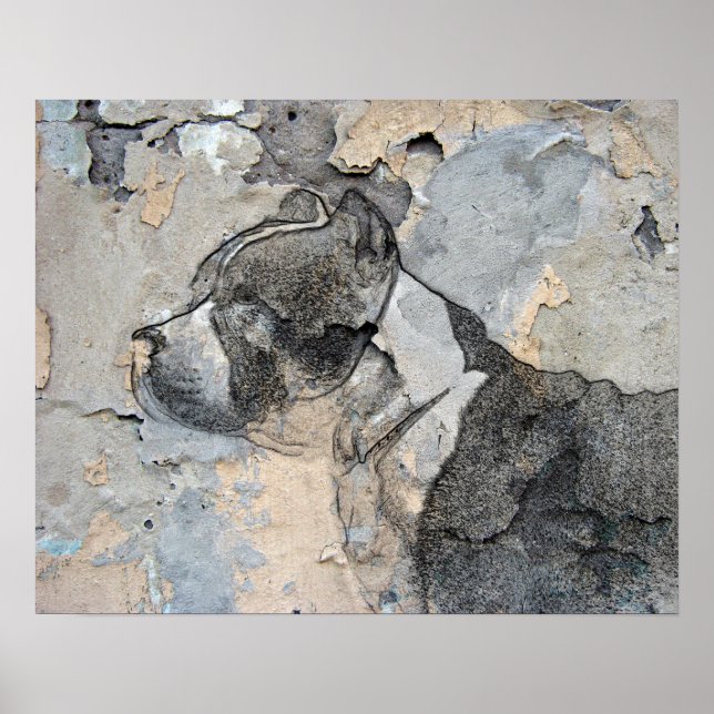 Pitbull Poster (Framsidan)