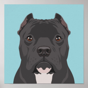 Pitbull Poster