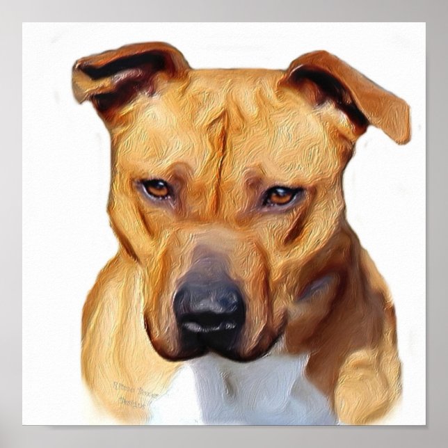 Pitbull poster (Framsidan)