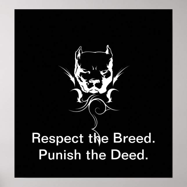 Pitbull Poster. Poster (Framsidan)