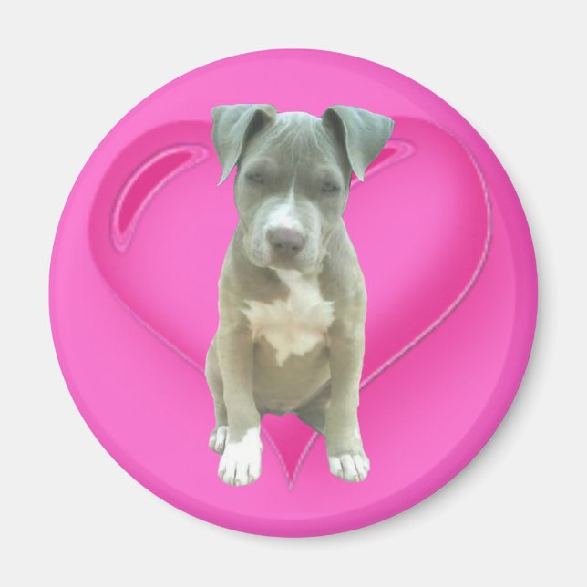 Pitbull puppes magnet (Framsidan)
