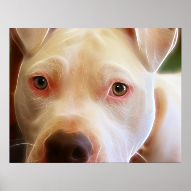 Pitbull Puppy Hund Ögon Art Photography Poster (Framsidan)