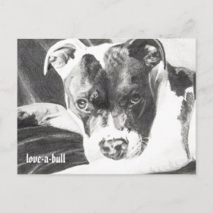 Pitbull Puppy i penna 4 av Jacob Grimm Vykort