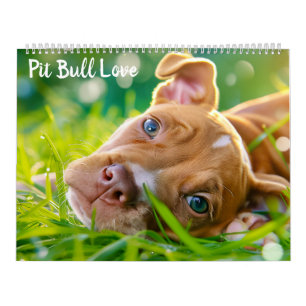 PitBull Puppy Kärlek Pit Bulls Calendar Kalender