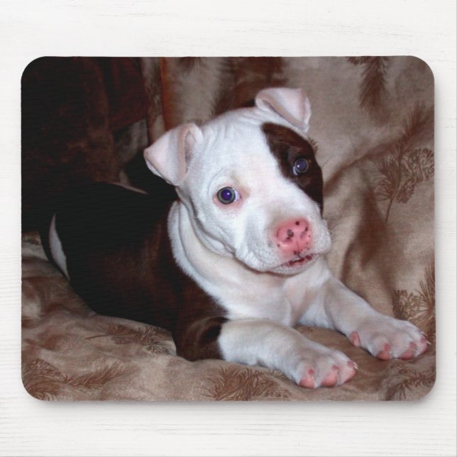 Pitbull Puppy Mousepad Musmatta (Framsidan)