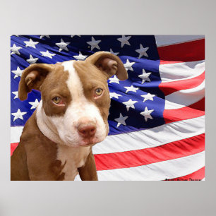 Pitbull puppy poster