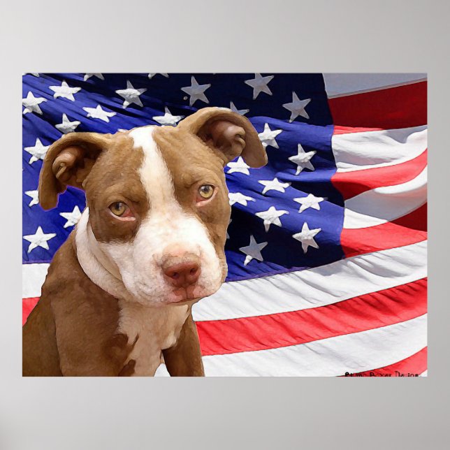Pitbull puppy poster (Framsidan)