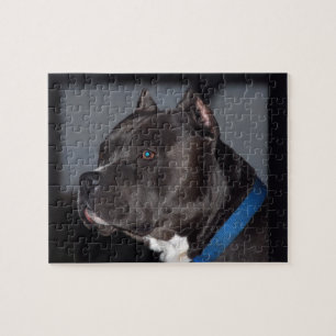 Pitbull pussel