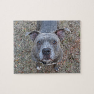 Pitbull Puzzel, omotståndskraftig Pussel