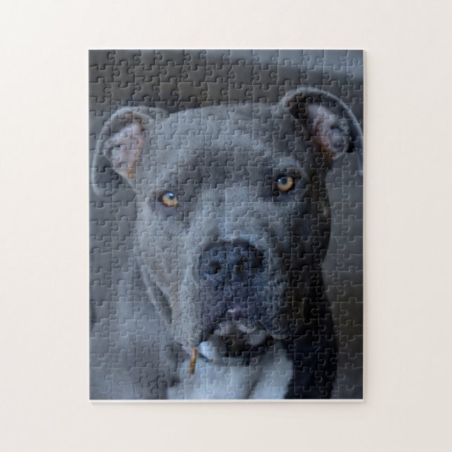 Pitbull puzzel pussel (Vertikal)