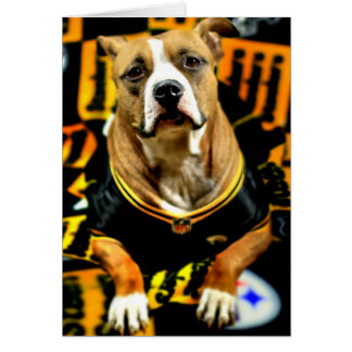 Pitbull Rädding Hund Football Fanatic Hälsningskort
