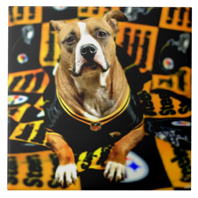Pitbull Rädding Hund Football Fanatic Kakelplatta (Framsidan)