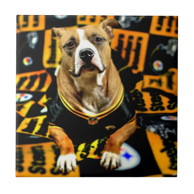 Pitbull Rädding Hund Football Fanatic Kakelplatta (Framsidan)