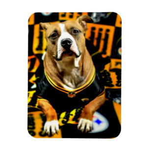 Pitbull Rädding Hund Football Fanatic Magnet