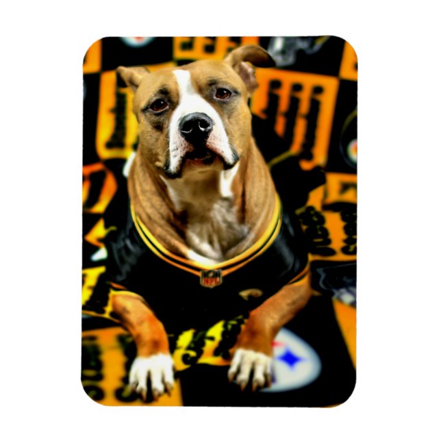 Pitbull Rädding Hund Football Fanatic Magnet (Vertikal)