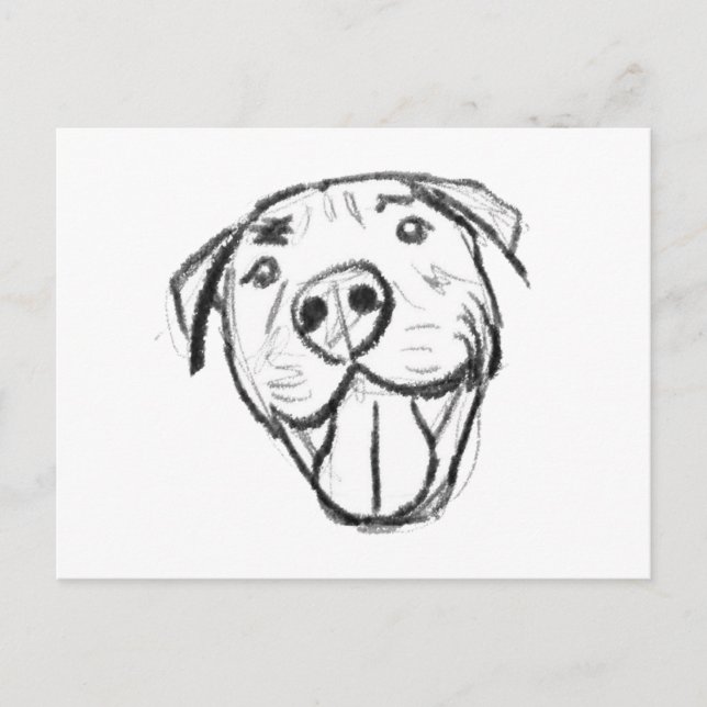 pitbull-ritning enkel hundälskare svart vitt vykort (Framsida)