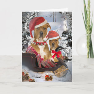 Pitbull "Santa s Sleigh"-kort Helgkort