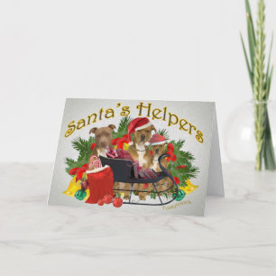 Pitbull Santas hjälpredajulkort Helgkort