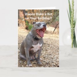 Pitbull Skapa ett födelsekort Kort