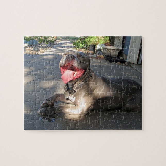 Pitbull Sloppy Hund Kiss Puzzle Pussel (Horisontell)