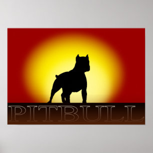 Pitbull solnedgångaffisch poster