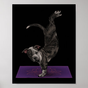 Pitbull som gör yogameditation Zen Namaste Hund Yo Poster