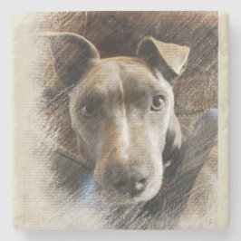 Pitbull Stenunderlägg