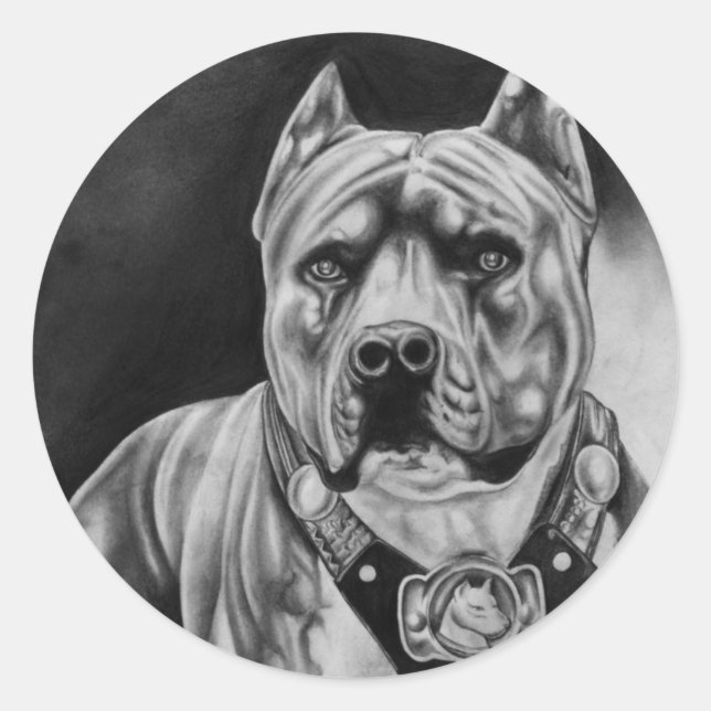 PITBULL STICKER RUNDA PKG AV 20 RUNT KLISTERMÄRKE (Framsida)
