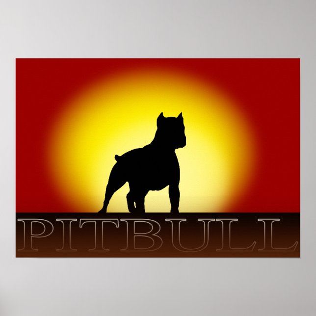 Pitbull Sunset Poster (Framsidan)