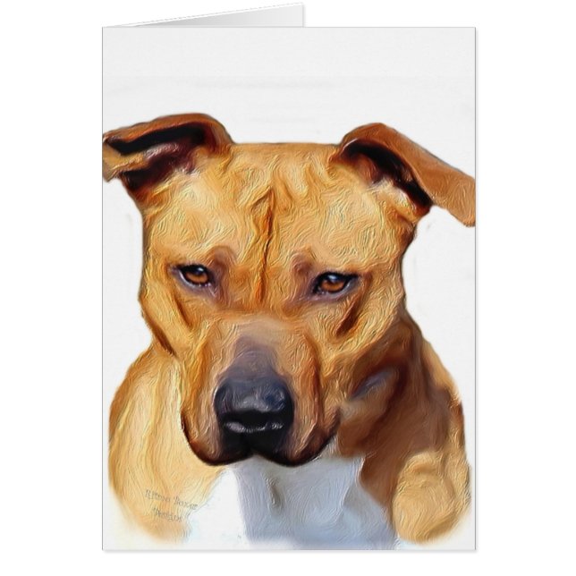 Pitbull Terrier OBS Kort (Framsidan)