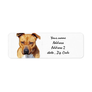 Pitbull Terrier Returadress Etikett