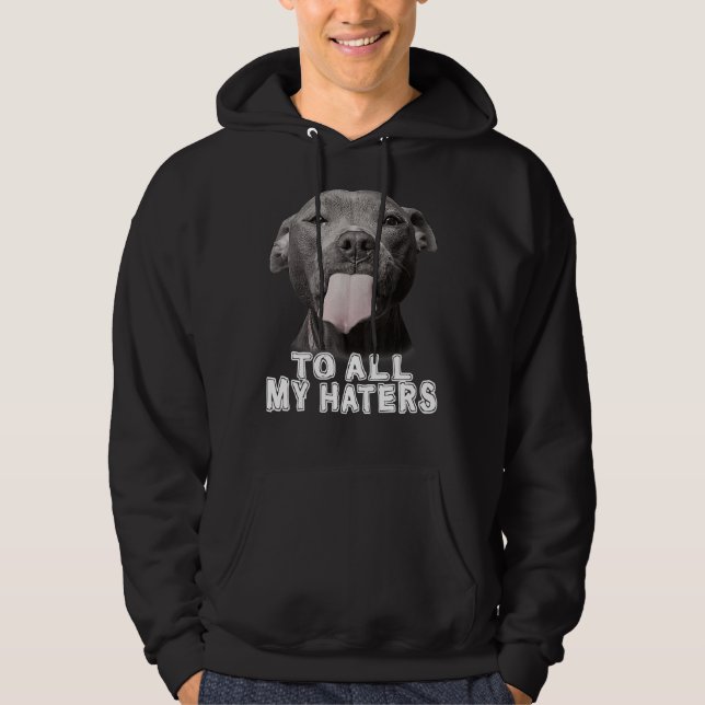 Pitbull till alla mina Haters Pitbull Hund älskare Hoodie (Framsida)