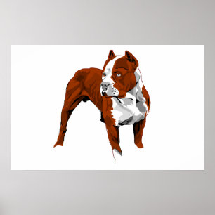 Pitbull tryck