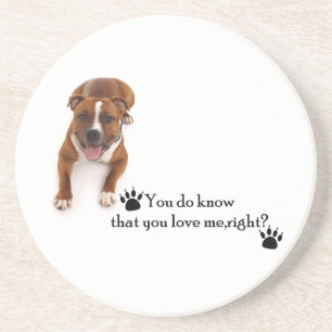 Pitbull Underlägg