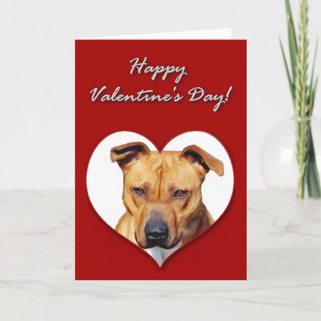 Pitbull valentines daykort helgkort (Framsida)
